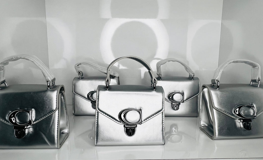 C Platinum Purse