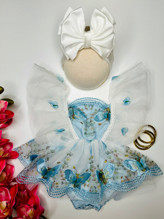 Blue Butterfly
