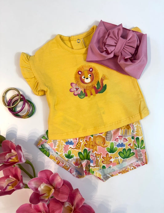 Jungle Set 🦁